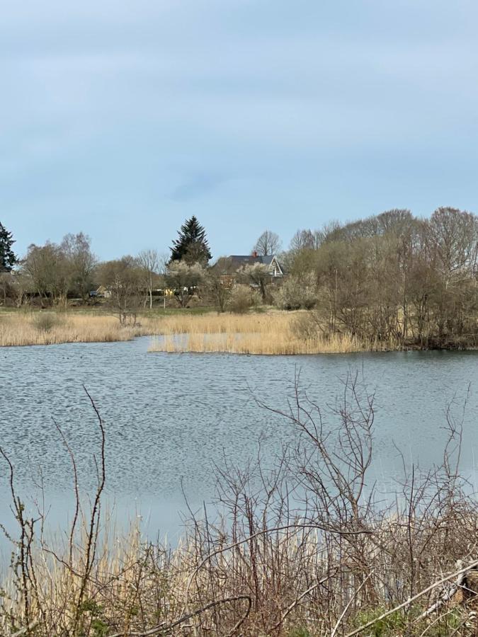 Feriehus I Skon Natur Stenstrup Exteriör bild